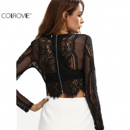 COLROVIE Lace See-through Crop Shirt Women Summer Round Neck Long Sleeve Sexy Tops Zipper Blouse 